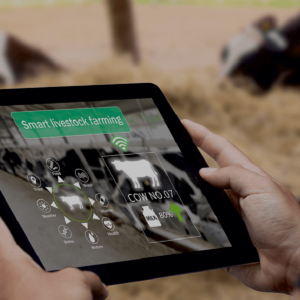 Dairy Farm Management