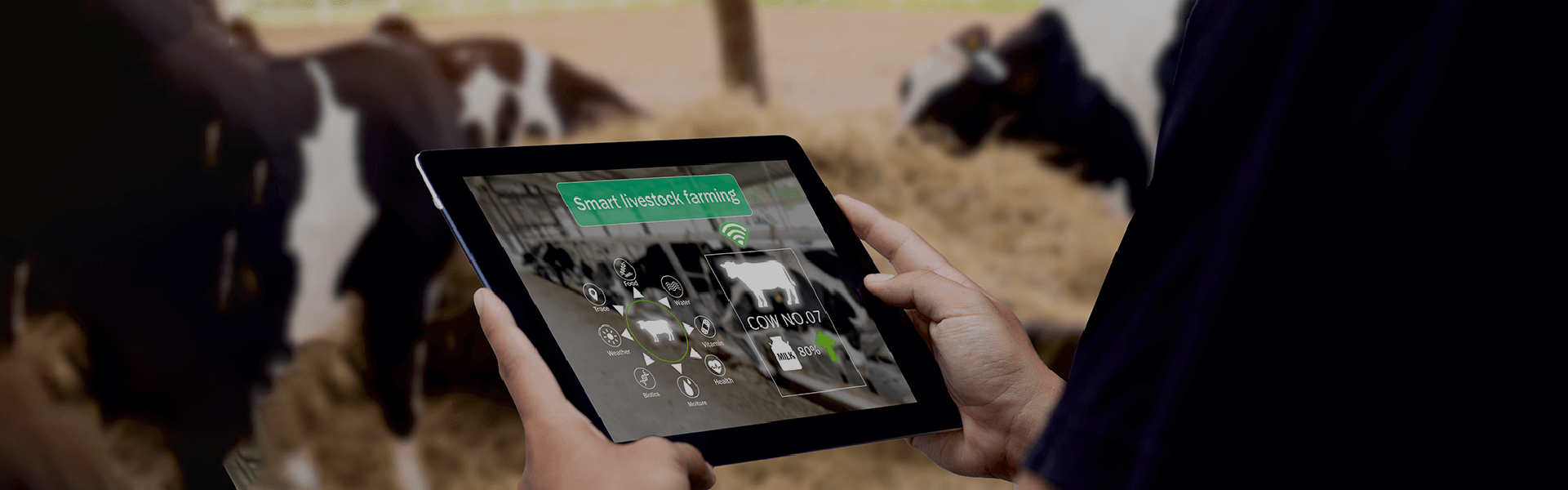 Dairy Farm Management (Fundamental)