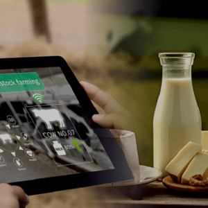 Dairy Farm Management Combined Course background