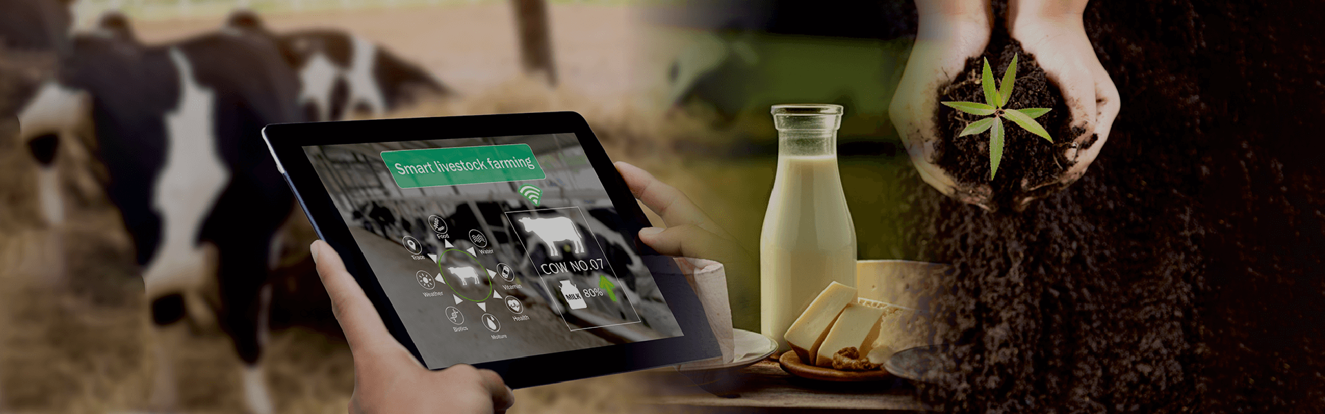 Combined Dairy Farm Management Course