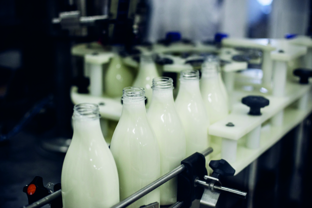 Dairy Processing Management (Fundamental)