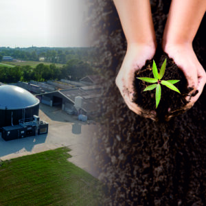 Dairy Waste management and Fertilizer Production bachground