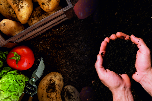 Dairy Waste Management and Organic Fertilizer Production